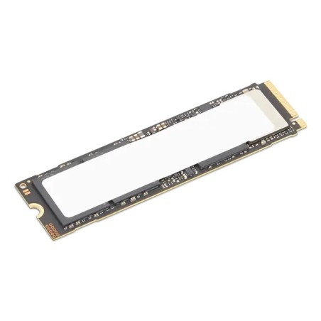 Lenovo 4XB1S30114 disque SSD 2 To M.2 PCI Express 5.0 NVMe