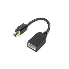 Lenovo 4X90Q93975 câble vidéo et adaptateur Mini DisplayPort DisplayPort Noir