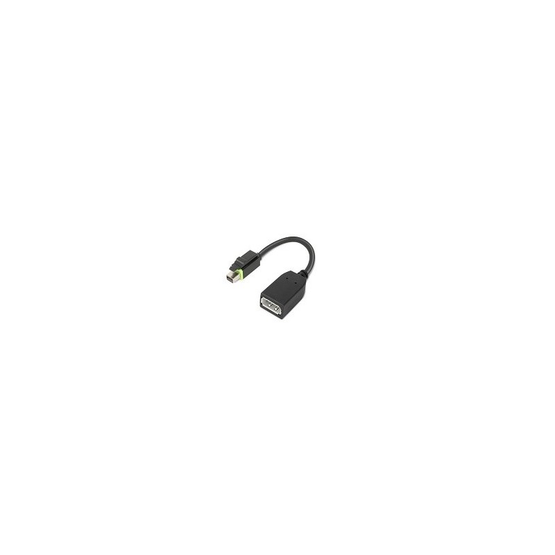 Lenovo 4X90Q93975 câble vidéo et adaptateur Mini DisplayPort DisplayPort Noir Lenovo 4X90Q93975 câble vidéo et adaptateur Mini DisplayPort DisplayPort Noir