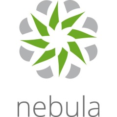 Zyxel LIC-NPRO-ZZ1Y00F licence et mise à jour de logiciel 1 licence(s) 1 année(s)