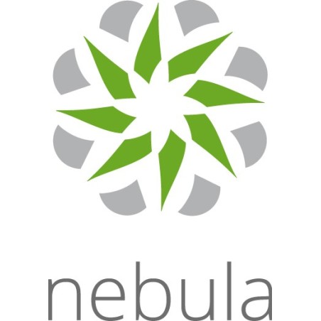 Zyxel LIC-NPRO-ZZ1Y00F licence et mise à jour de logiciel 1 licence(s) 1 année(s)
