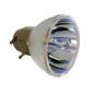 Acer UC.JSF11.001 lampe de projection