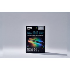 Klevv K240GM2SP0-C7R disque SSD 240 Go M.2 PCI Express 4.0 NVMe SLC