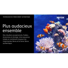 Xerox Cartouche de toner Noir de Capacité standard Imprimante couleur ® VersaLink® C400 multifonctions ® VersaLink® C405 (2500