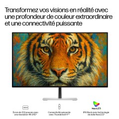 HP Series 7 Pro Écran pour station d’accueil Thunderbolt 4 31,5 pouces 4K – 732xk