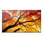 Sharp MultiSync PN-M752 189,2 cm (74.5") LED 550 cd/m² 4K Ultra HD Noir 24/7 Sharp MultiSync PN-M752 189,2 cm (74.5") LED 550 cd/m² 4K Ultra HD Noir 24/7