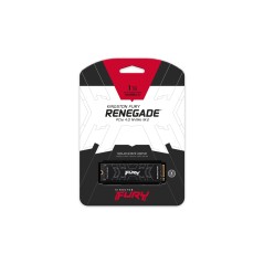 Kingston Technology 1000G FURY RENEGADE M.2 2280 NVMe SSD