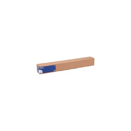 Epson Toile Canvas Matte Water Resist 375g 17" (0,432x12,2m)