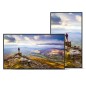 Sharp PN-E439 Écran plat de signalisation numérique 109,2 cm (43") LCD 350 cd/m² 4K Ultra HD Noir 16/7 Sharp PN-E439 Écran plat de signalisation numérique 109,2 cm (43") LCD 350 cd/m² 4K Ultra HD Noir 16/7
