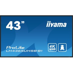 iiyama LH4365UHSB-B1 Écran d'affichage dynamique En forme de kiosk 108 cm (42.5") LED Wifi 800 cd/m² 4K Ultra HD Noir Intégré