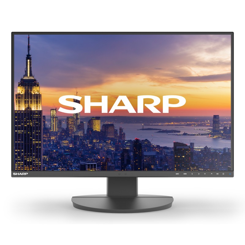 Sharp MultiSync EA242W écran plat de PC 61 cm (24") 1920 x 1200 pixels Full HD LCD Noir Sharp MultiSync EA242W écran plat de PC 61 cm (24") 1920 x 1200 pixels Full HD LCD Noir