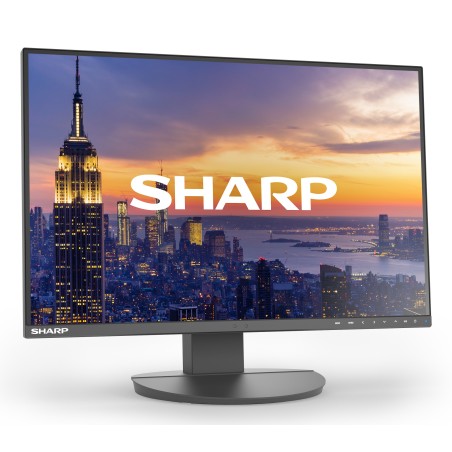 Sharp MultiSync EA242W écran plat de PC 61 cm (24") 1920 x 1200 pixels Full HD LCD Noir