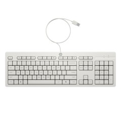 HP Ensemble combiné clavier et souris filaires 225