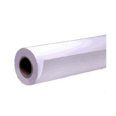 Epson Pap Mat Simple Epaisseur 115g 17" (0,432x40m)