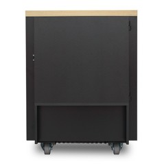 APC Netshelter CX 18U Rack autonome Chêne
