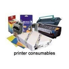 Epson Pap Photo Premium Glacé (250) 44" (1,118x30,5m)