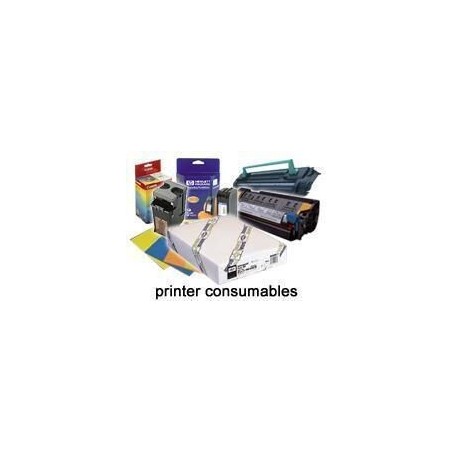 Epson Pap Photo Premium Glacé (250) 44" (1,118x30,5m)