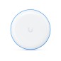 UBB-Single