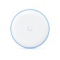 UBB-XG-Single