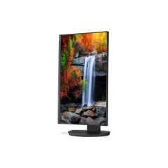 Multisync DD-EA242F | SHARP