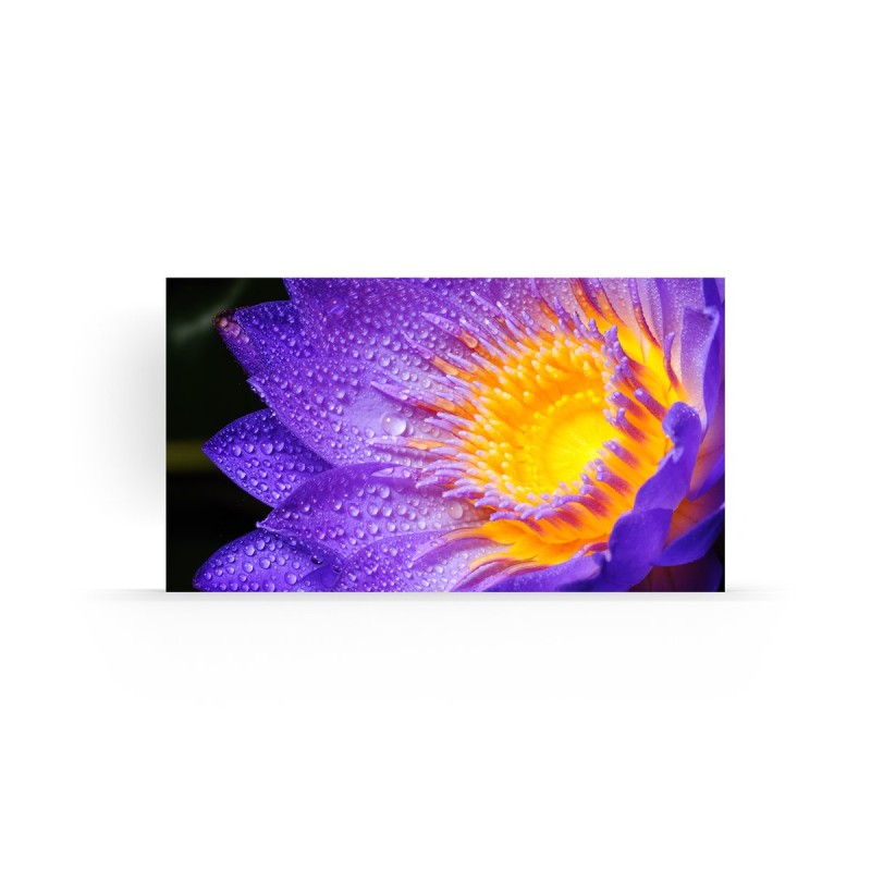 LD-EC121-108-NP LD-EC121-108-NP