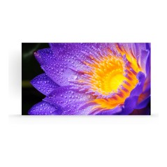 LD-EC151-135 | SHARP