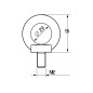 Lifting eyebolts PanelSeT SFN Spacial Lifting eyebolts PanelSeT SFN Spacial