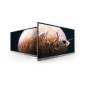 RP8603 86/Premium Interactive Panel