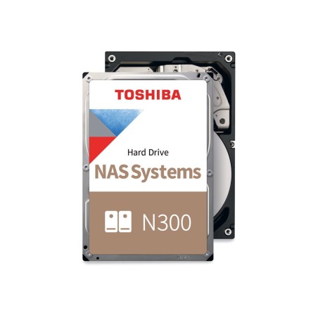 *BULK* N300 NAS HD 16TB 1024MB