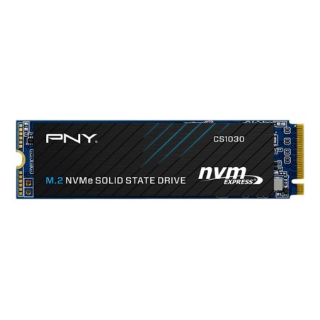 SSD CS1030 M.2 NVMe GEN3 250GB