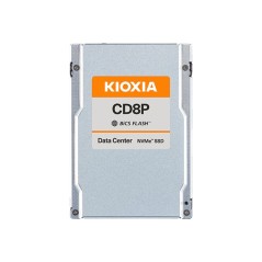 X121 CD8P-R dSSD 15.3TB U.2 PCIe SIE