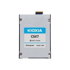X121 CM7-V E3.S eSDD 1.6TB PCIe SIE