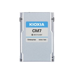 X121 CM7-R eSSD U.3 eSDD 1.9TB PCIe SIE