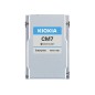 X121 CM7-R eSSD U.3 eSDD 1.9TB PCIe SIE X121 CM7-R eSSD U.3 eSDD 1.9TB PCIe SIE