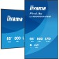 iiyama LH6566UHSB-B1AG Écran d'affichage dynamique Écran plat de signalisation numérique 165,1 cm (65") LCD Wifi 800 cd/m² 4K