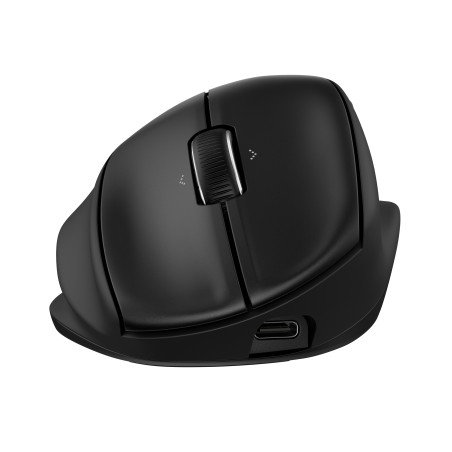 HP Souris ergonomique inclinable 720M