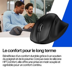HP Souris ergonomique inclinable 720M