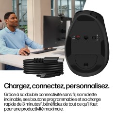 HP Souris ergonomique inclinable 720M
