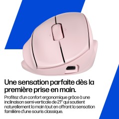 HP Tilt Ergo PNK MSE 720M EMEA-INTL EN L souris Maison Droitier RF sans fil + Bluetooth 6000 DPI