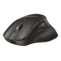 HP B8YX3AAABB souris Maison Droitier Bluetooth + USB Type-C 6000 DPI