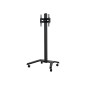 Universal Flat Screen Trolley VESA 600 Universal Flat Screen Trolley VESA 600