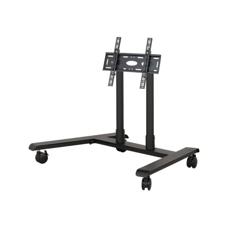 SYSTEM X - Universal Low Level Flat Scre