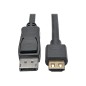 DisplayPort 1.2 to HDMI Active Adapter C