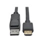 DisplayPort 1.2 to HDMI Active Adapter C DisplayPort 1.2 to HDMI Active Adapter C