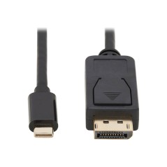 Eaton Tripp Lite Series USB-C to DisplayPort - U444-006-DP-BD