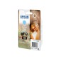 Epson Squirrel Singlepack Light Cyan 378 Claria Photo HD Ink Epson Squirrel Singlepack Light Cyan 378 Claria Photo HD Ink