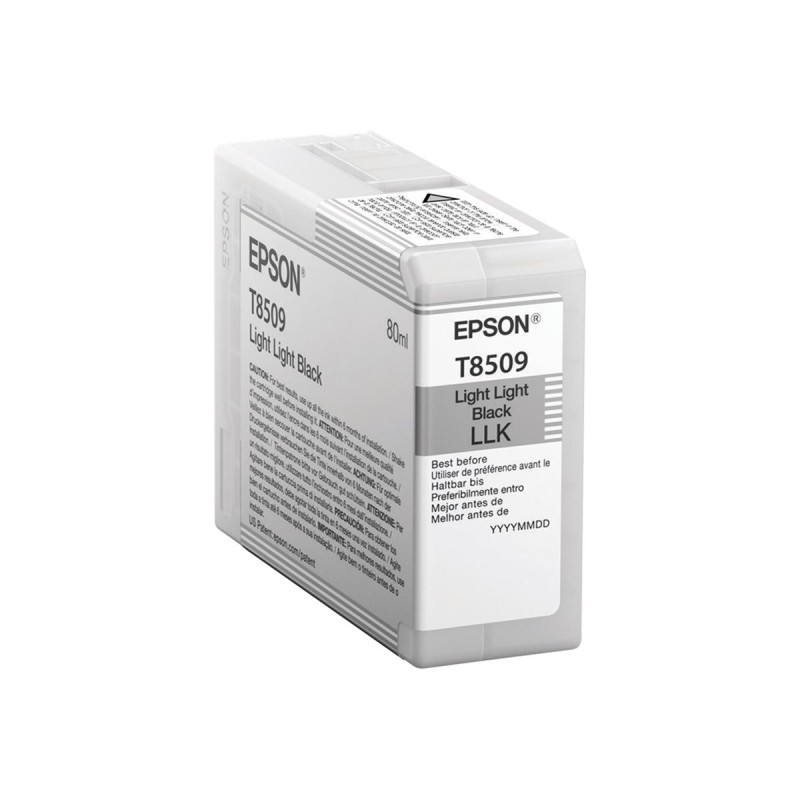 Epson Singlepack Light Light Black T850900 Epson Singlepack Light Light Black T850900