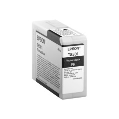 Epson Singlepack Photo Black T850100