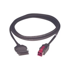 Epson Câble Powered USB (3.8m)