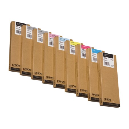Epson Encre Pigment Gris clair SP 4800/ 4880 (220ml)